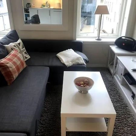Apartman Fin Og Super Sentral *